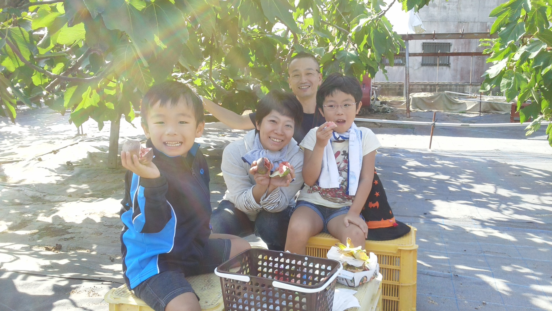 海辺のいちじく園