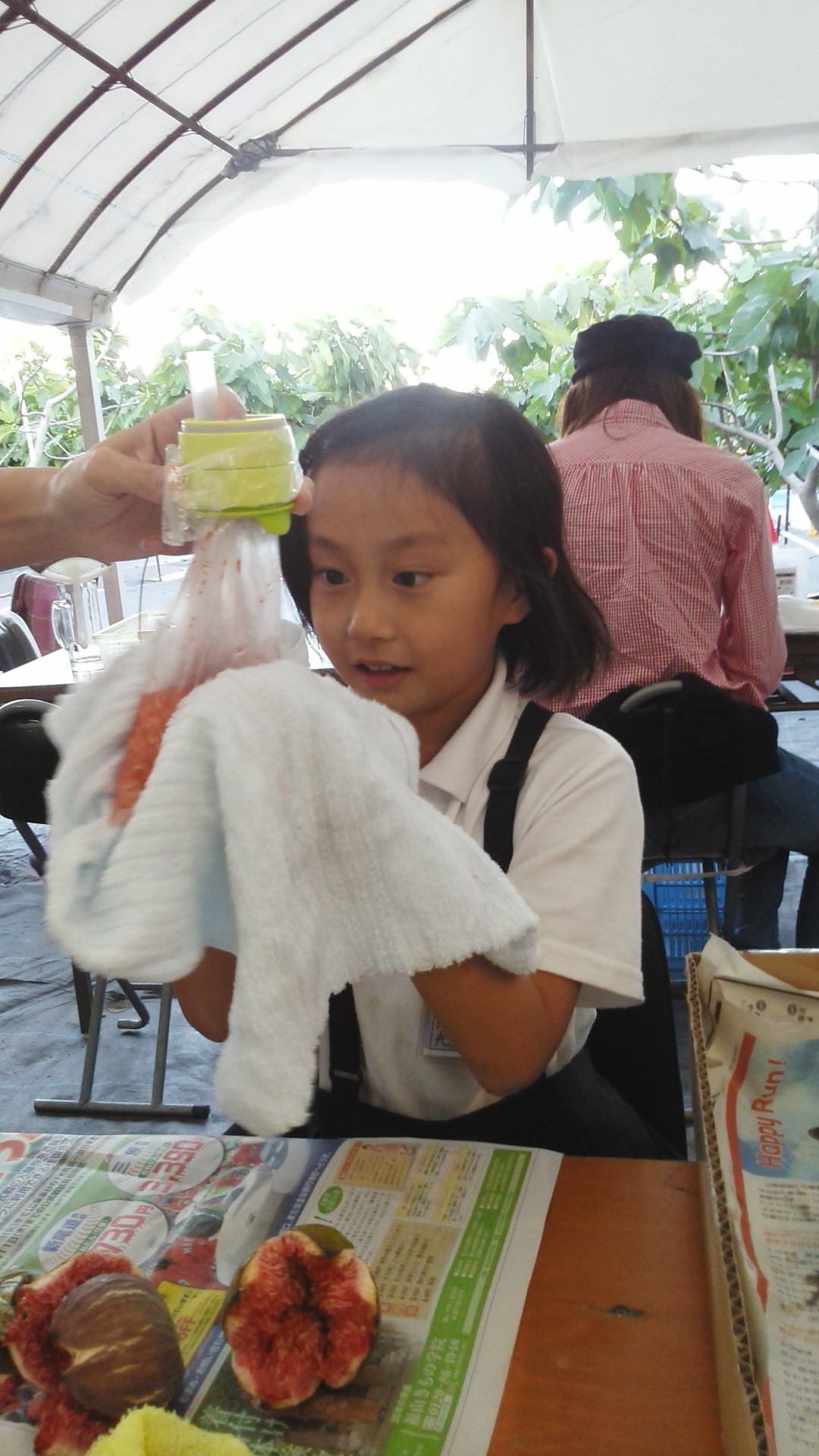 海辺のいちじく園