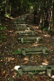 奥山 [観音山]（瀬戸内海国立公園）