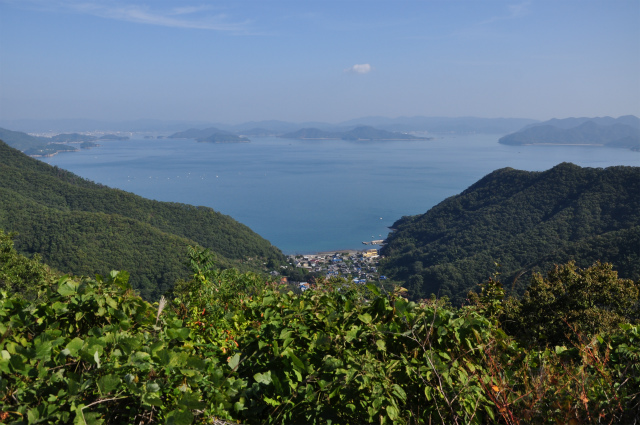 眼下に見える風景