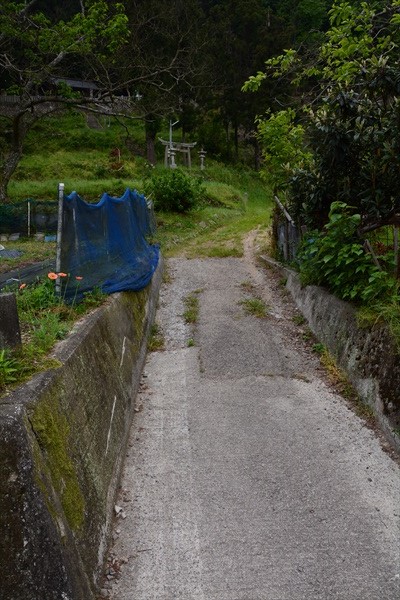 雲雀城址の入り口。神社が目印。