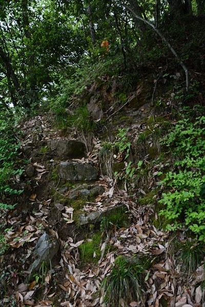 途中から山道になります
