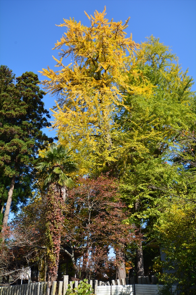 艮神社（御調町大蔵）