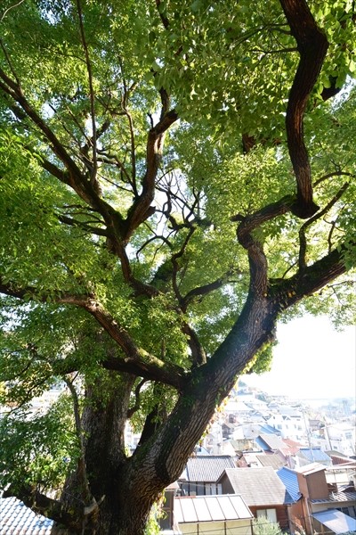 亀山八幡宮（久保八幡神社）