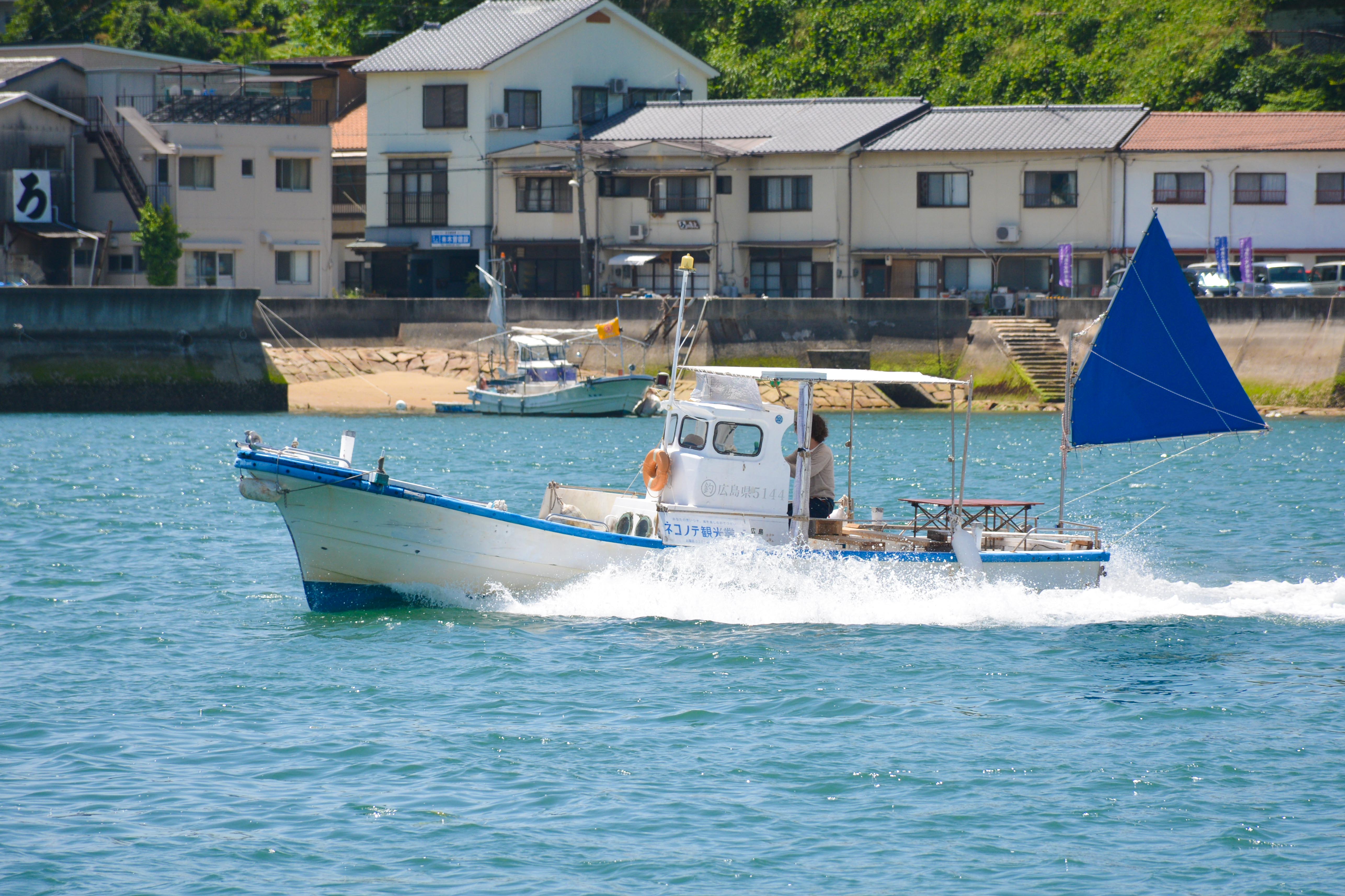 ネコノテ観光業