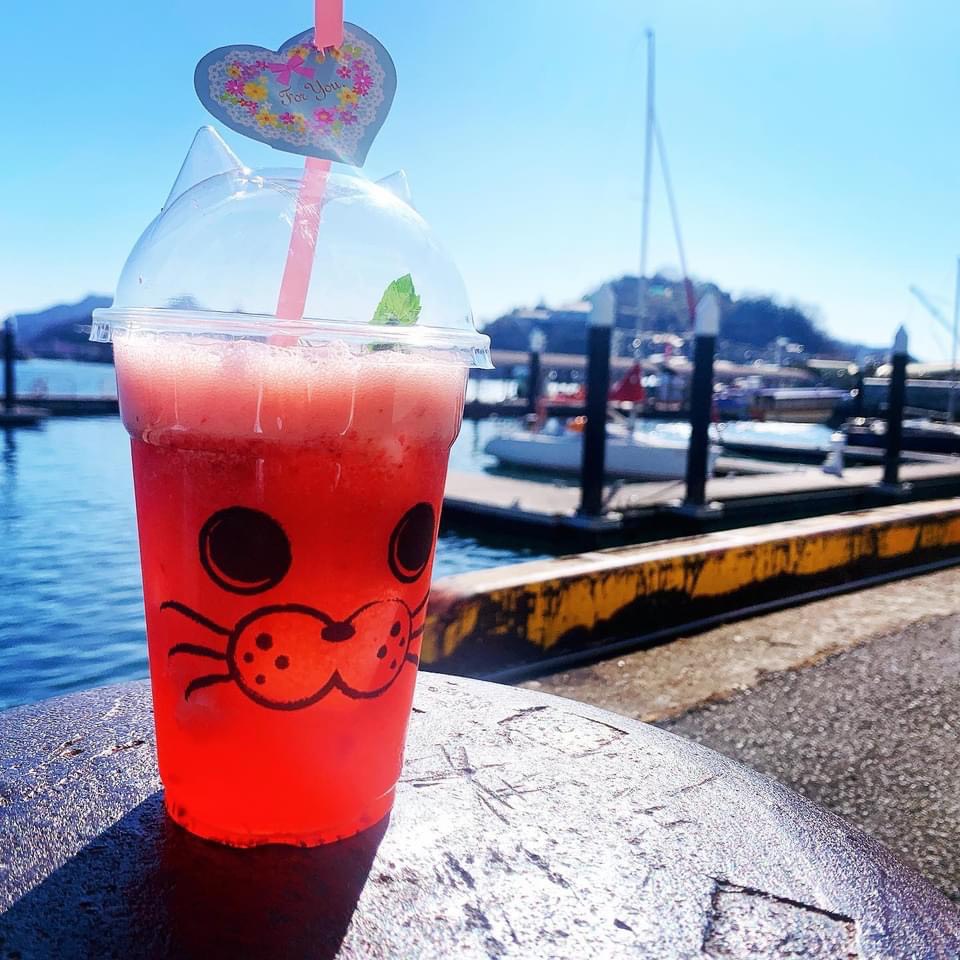 ハーバーCafe ＆ BAR みなも