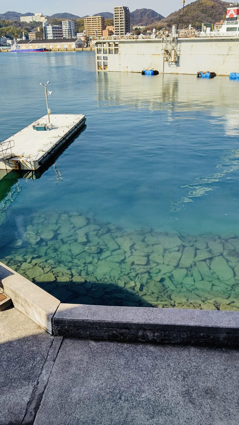 【2/20閉店】 ​＃モーモーキッチン