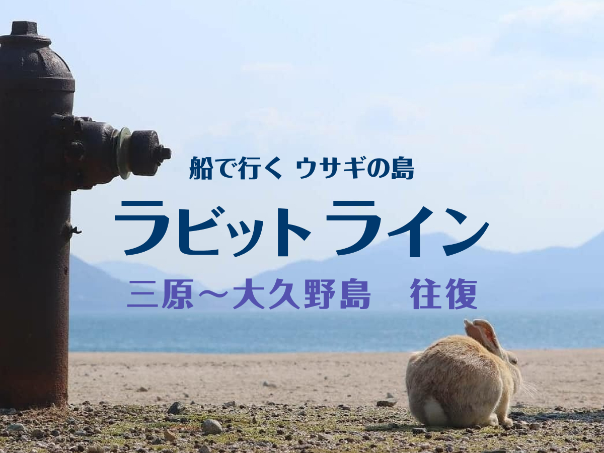 RYDE PASS（ライドパス）電子チケット