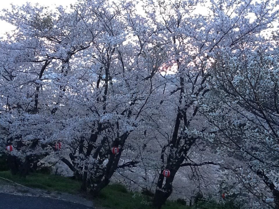 ソルトハウス(SALTHOUSE)