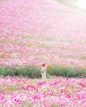 【世羅】花の駅せら
