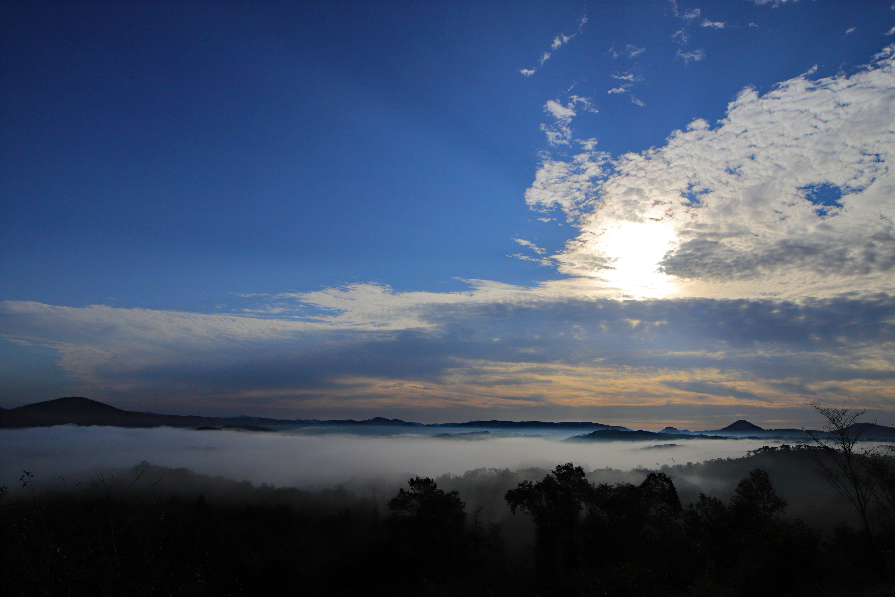 【世羅】花の駅せら