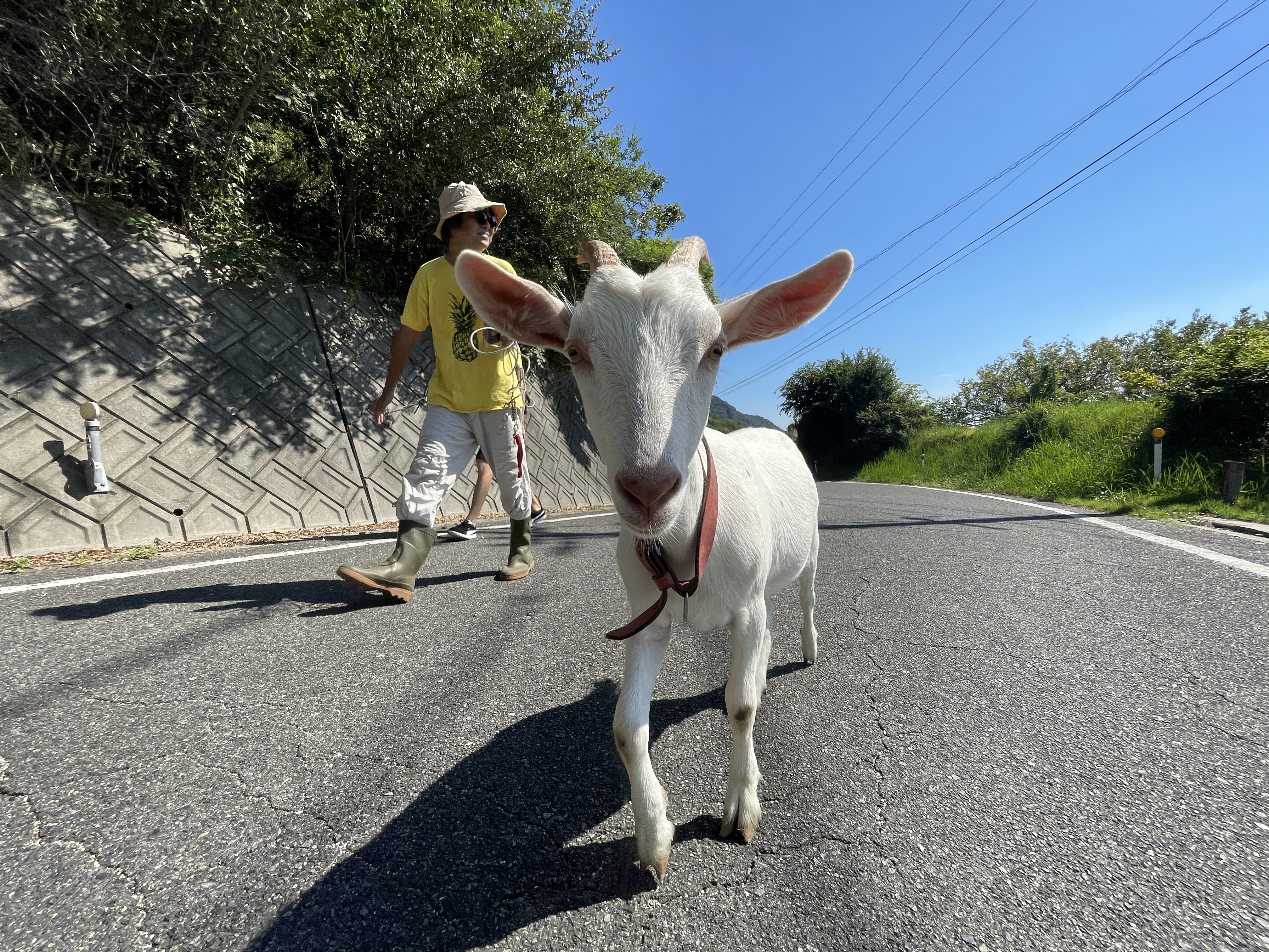 ゲストハウスみちしお