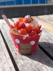 Crown Berry 【おのなび特典あります！】