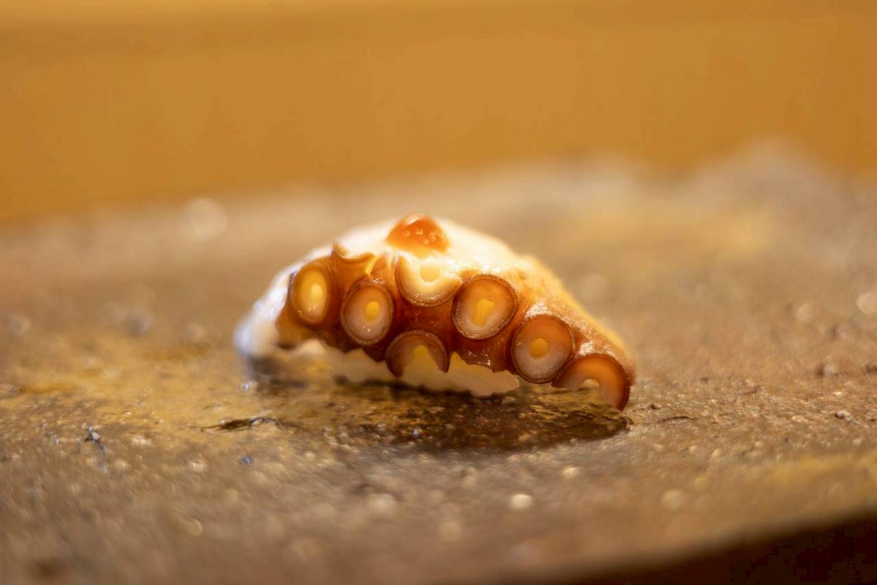 尾道　寿司じつかわ