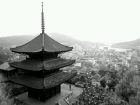 雨の天寧寺海雲塔