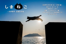 「しまねこ」 大井康平 島猫写真展
