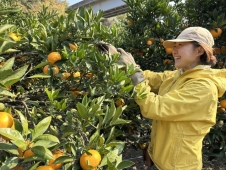 みんなで全もぎ！ シトサポ1DAY in 高根島