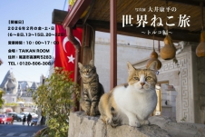写真展「大井康平の世界ねこ旅～トルコ編」
