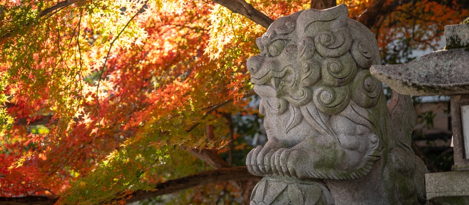 学問の神様・菅原道真公をまつる御袖天満宮。狛犬と紅葉が映え、映画等の舞台にもなった境内は、秋の散策にぴったりです
