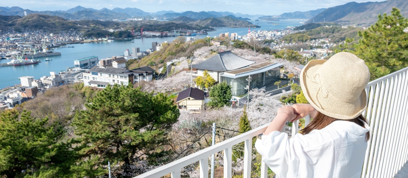 約1,500本のソメイヨシノが咲き誇る千光寺公園で、尾道水道を望みながら春を満喫しませんか