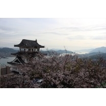 尾道城　桜海から瀬戸内の情景