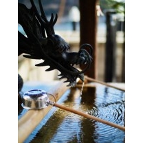 手水舎の龍