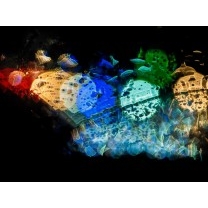 Reflections in raindrops