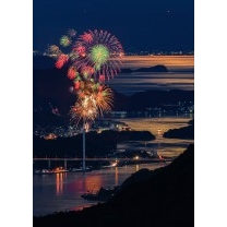 竜王山から見た月夜の花火