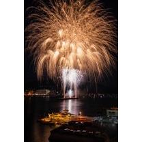 尾道水道に咲く大輪の花