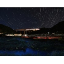 光の舞うジャンクション