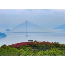 雨上がり、伯方の花と橋