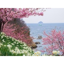 船隠し公園の春