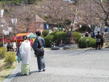 着物を着たお客様がたくさん来園していました