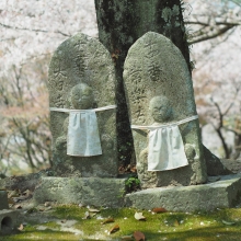 お地蔵さんもお花見中