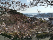 昨日の雨のおかげで空気が澄み切っています