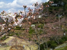 尾道市立美術館の前から見た様子