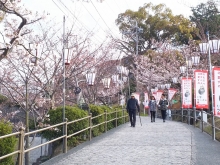 頂上展望台へ続く坂道