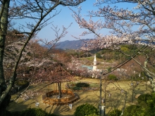 サル山そばの芝生広場のようす