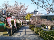 右手に尾道市立美術館があります