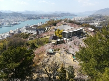 展望台からの風景