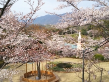 尾道市立美術館前の芝生のようす