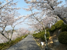 今日・明日はかなりの混雑が予想されます