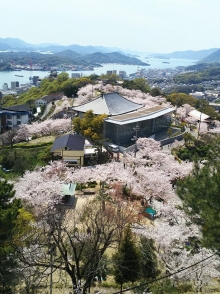 展望台から見た園内