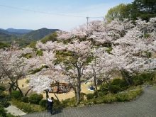 尾道市立美術館前の広場