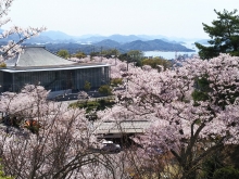 頂上展望台から降りる坂道