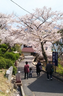 千光寺へ続く坂道