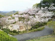 尾道市立美術館前の様子