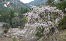 和気神社からの眺め