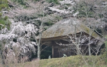 下から見上げえる和気神社