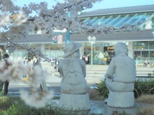 尾道駅前の桜が満開となりました